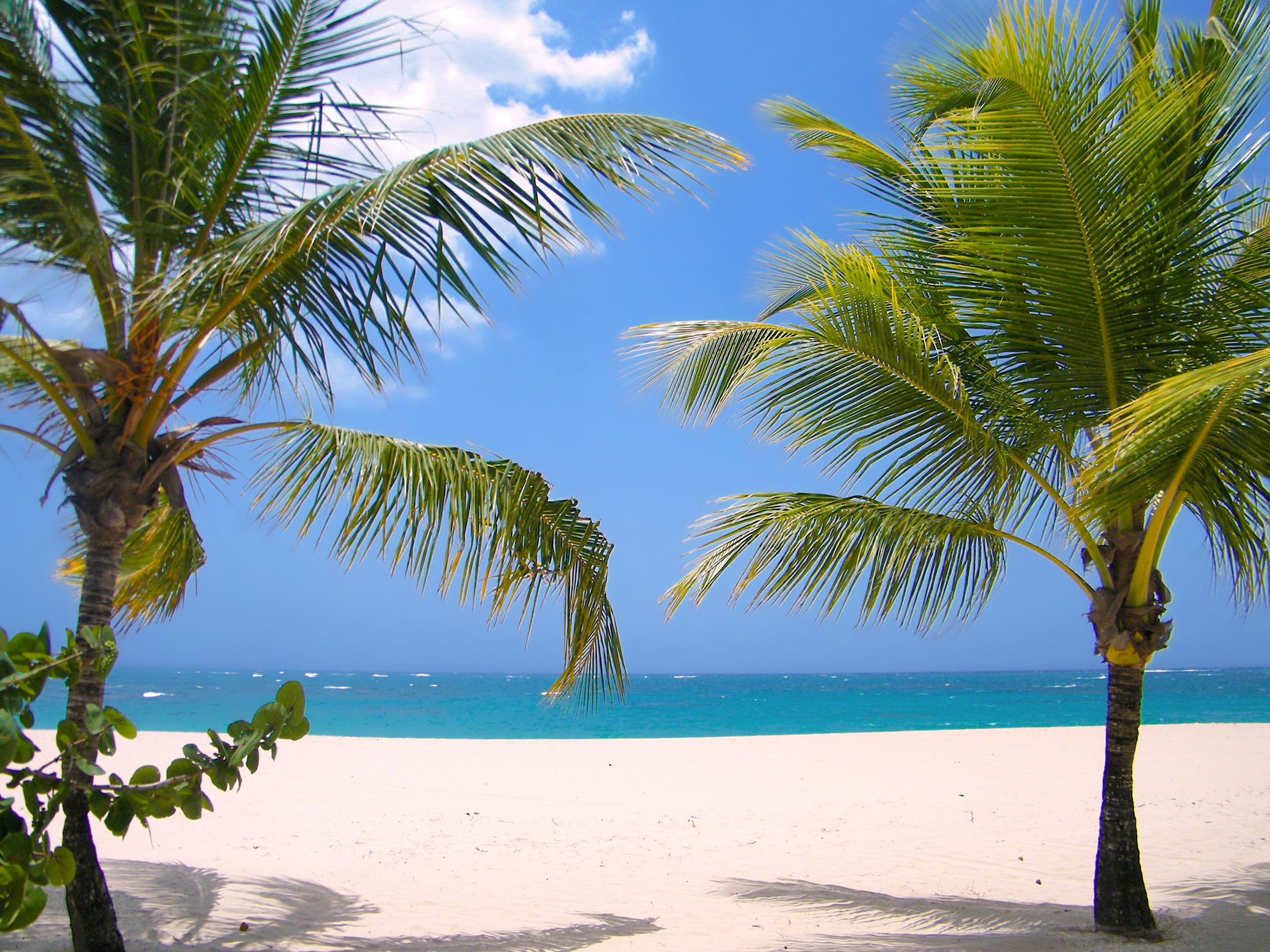 บีบา วินด์แฮม วี เฮฟเวน - สำหรับผู้ใหญ่เท่านั้น - ออล อินคลูซีฟ Hotel Puerto Plata ภายนอก รูปภาพ