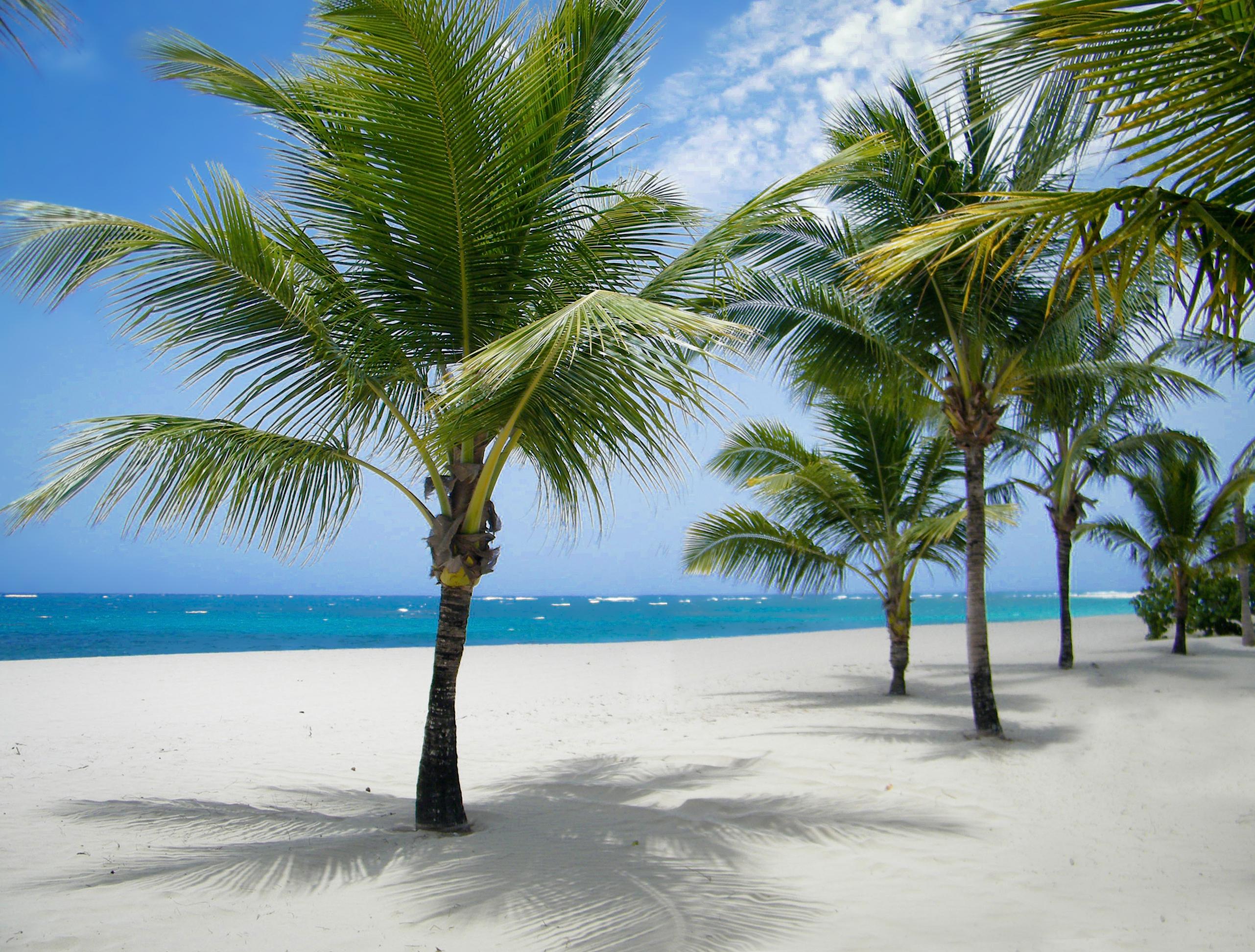 บีบา วินด์แฮม วี เฮฟเวน - สำหรับผู้ใหญ่เท่านั้น - ออล อินคลูซีฟ Hotel Puerto Plata ภายนอก รูปภาพ