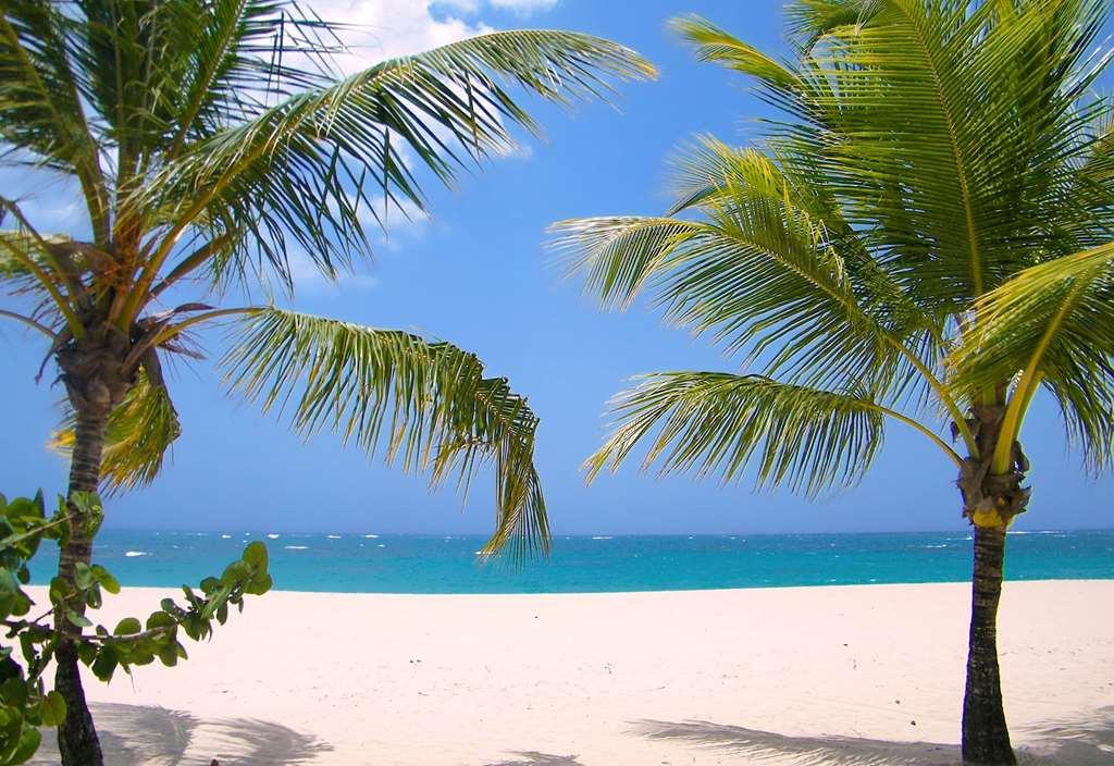 บีบา วินด์แฮม วี เฮฟเวน - สำหรับผู้ใหญ่เท่านั้น - ออล อินคลูซีฟ Hotel Puerto Plata ธรรมชาติ รูปภาพ